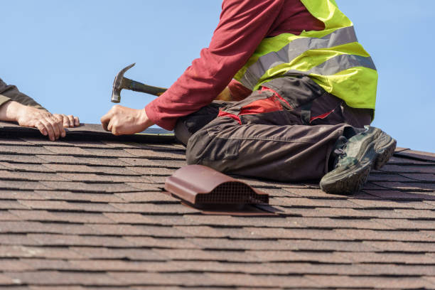 Roof Gutter Cleaning in Homestead Meadows North, TX