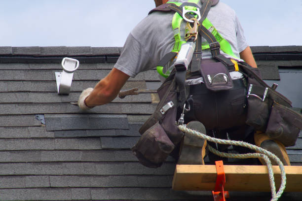 Professional Roofing Contractor in Homestead Meadows North, TX
