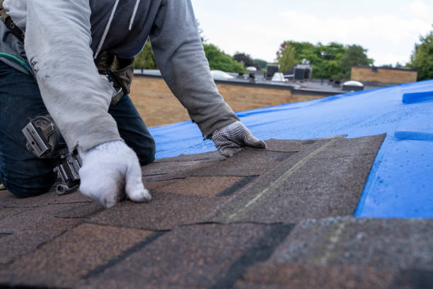 Roof Waterproofing Services in Homestead Meadows North, TX